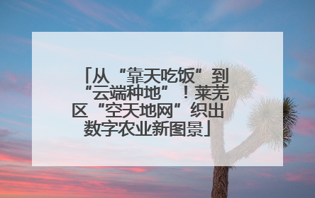 从“靠天吃饭”到“云端种地”！莱芜区“空天地网”织出数字农业新图景