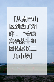 从秦巴山区到西子湖畔：“安康富硒茶”组团拓展长三角市场