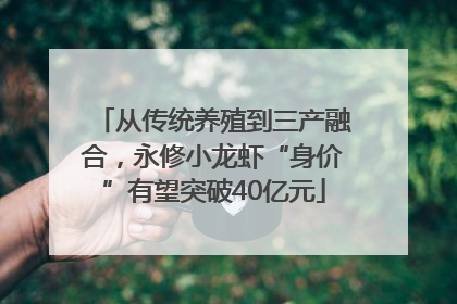 从传统养殖到三产融合，永修小龙虾“身价”有望突破40亿元