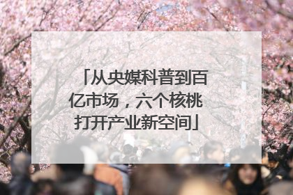 从央媒科普到百亿市场，六个核桃打开产业新空间