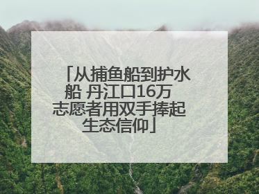 从捕鱼船到护水船 丹江口16万志愿者用双手捧起生态信仰
