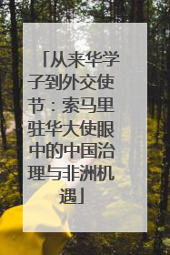 从来华学子到外交使节：索马里驻华大使眼中的中国治理与非洲机遇