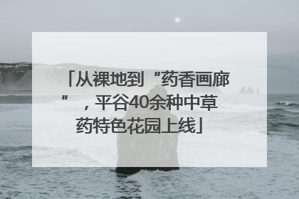 从裸地到“药香画廊”，平谷40余种中草药特色花园上线