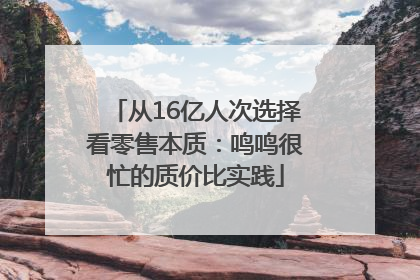 从16亿人次选择看零售本质：鸣鸣很忙的质价比实践