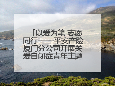以爱为笔 志愿同行——平安产险厦门分公司开展关爱自闭症青年主题党日活动