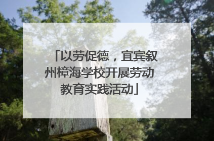 以劳促德，宜宾叙州樟海学校开展劳动教育实践活动