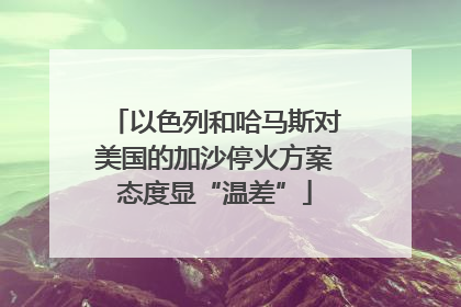 以色列和哈马斯对美国的加沙停火方案态度显“温差”