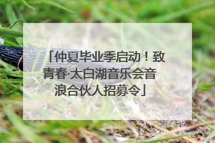 仲夏毕业季启动！致青春·太白湖音乐会音浪合伙人招募令