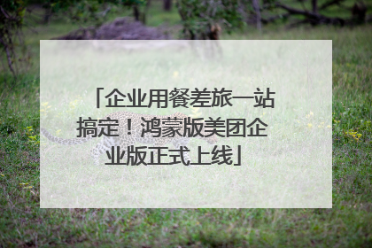 企业用餐差旅一站搞定！鸿蒙版美团企业版正式上线