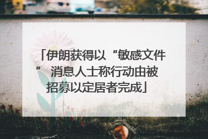 伊朗获得以“敏感文件” 消息人士称行动由被招募以定居者完成