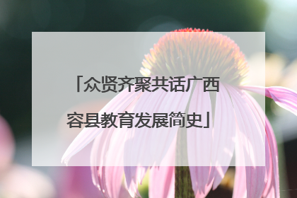 众贤齐聚共话广西容县教育发展简史