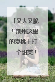 又大又脆！荆州这里的夏桃主打一个甜美！