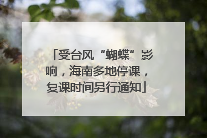受台风“蝴蝶”影响，海南多地停课，复课时间另行通知