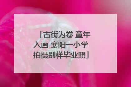 古街为卷 童年入画 襄阳一小学拍摄别样毕业照