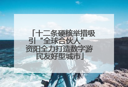 十二条硬核举措吸引“全球合伙人” 资阳全力打造数字游民友好型城市