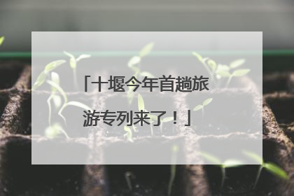 十堰今年首趟旅游专列来了！