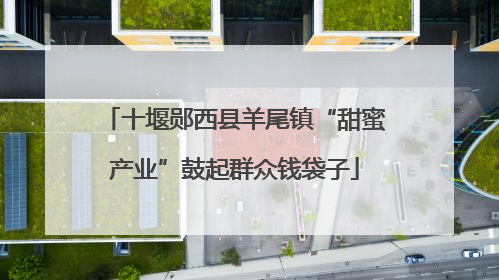 十堰郧西县羊尾镇“甜蜜产业”鼓起群众钱袋子
