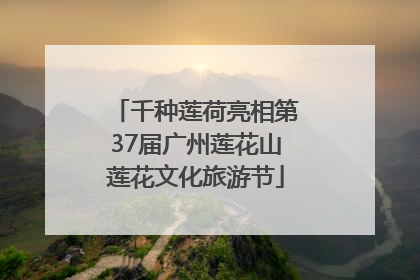 千种莲荷亮相第37届广州莲花山莲花文化旅游节