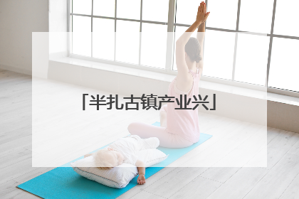 半扎古镇产业兴