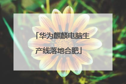 华为麒麟电脑生产线落地合肥
