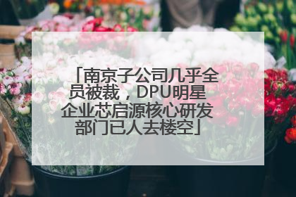 南京子公司几乎全员被裁，DPU明星企业芯启源核心研发部门已人去楼空
