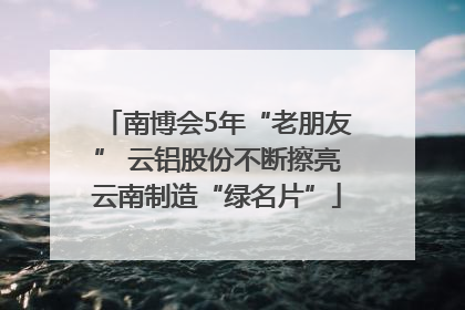 南博会5年“老朋友” 云铝股份不断擦亮云南制造“绿名片”