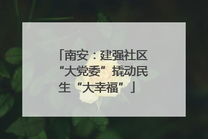 南安：建强社区“大党委”撬动民生“大幸福”