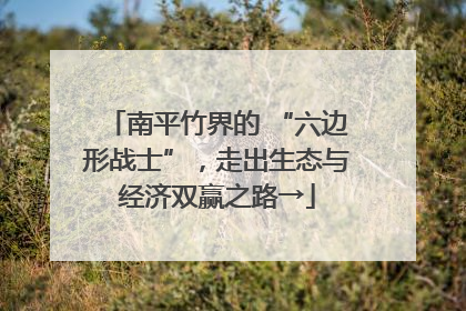 南平竹界的 “六边形战士”，走出生态与经济双赢之路→