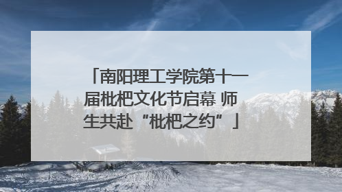 南阳理工学院第十一届枇杷文化节启幕 师生共赴“枇杷之约”