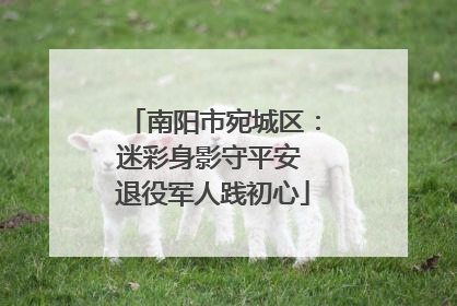 南阳市宛城区：迷彩身影守平安 退役军人践初心