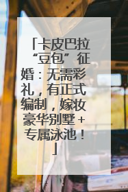 卡皮巴拉“豆包”征婚：无需彩礼，有正式编制，嫁妆豪华别墅＋专属泳池！