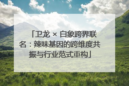 卫龙 × 白象跨界联名：辣味基因的跨维度共振与行业范式重构