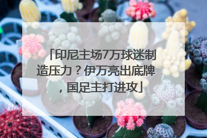 印尼主场7万球迷制造压力？伊万亮出底牌，国足主打进攻