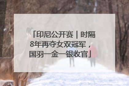 印尼公开赛｜时隔8年再夺女双冠军，国羽一金一银收官