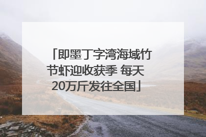 即墨丁字湾海域竹节虾迎收获季 每天20万斤发往全国