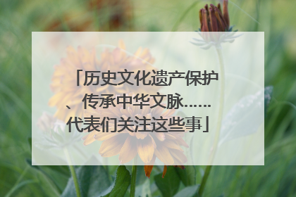 历史文化遗产保护、传承中华文脉……代表们关注这些事