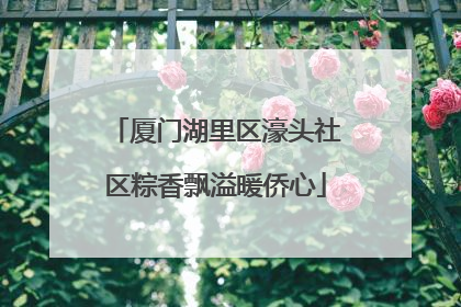 厦门湖里区濠头社区粽香飘溢暖侨心