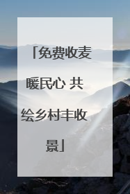 免费收麦暖民心 共绘乡村丰收景
