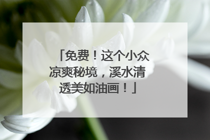 免费！这个小众凉爽秘境，溪水清透美如油画！