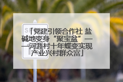 党建引领合作社 盐碱地变身“聚宝盆”——河涯村十年蝶变实现产业兴村群众富