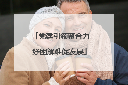 党建引领聚合力 纾困解难促发展