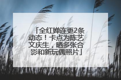 全红婵连更2条动态！卡点为陈艺文庆生，晒多张合影和新玩偶照片