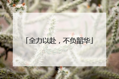 全力以赴，不负韶华