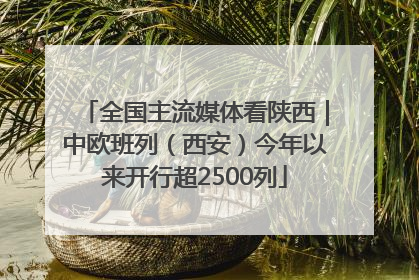全国主流媒体看陕西｜中欧班列（西安）今年以来开行超2500列