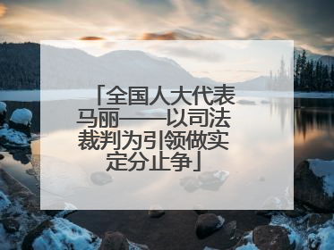 全国人大代表马丽——以司法裁判为引领做实定分止争