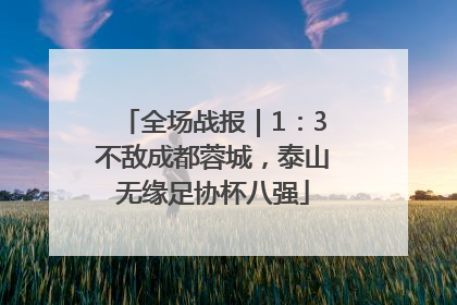 全场战报｜1：3不敌成都蓉城，泰山无缘足协杯八强