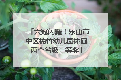 六冠闪耀！乐山市中区棉竹幼儿园捧回两个省级一等奖