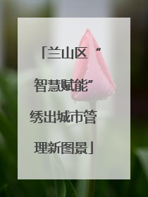 兰山区“智慧赋能”绣出城市管理新图景