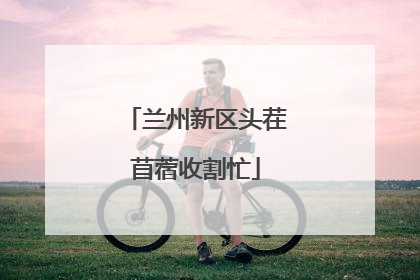 兰州新区头茬苜蓿收割忙