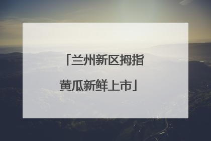 兰州新区拇指黄瓜新鲜上市
